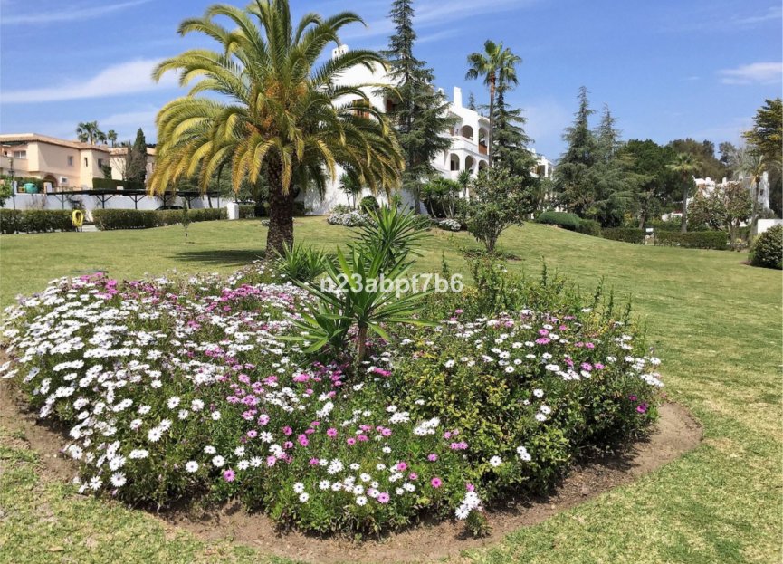 Reventa - Ground floor apartment - Marbella - Nueva Andalucia