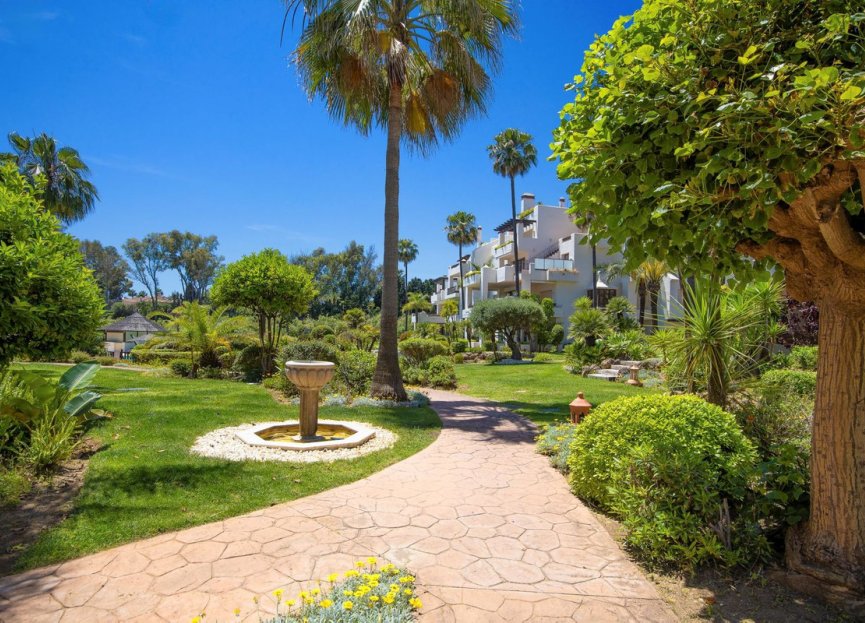 Resale - Apartment - Penthouse - Estepona - Estepona Centro