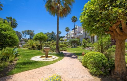 Resale - Apartment - Penthouse - Estepona - Estepona Centro