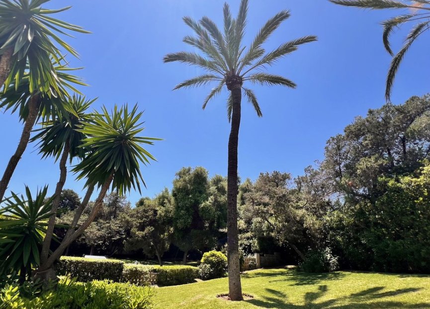 Resale - Ground floor apartment - Marbella - Marbesa