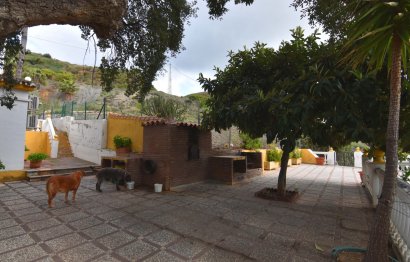 Resale - House - Finca - Cortijo - Mijas - Mijas Centro