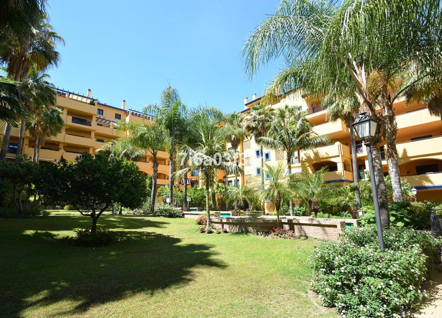 Resale - Apartment - Ground Floor Apartment - Marbella - San Pedro De Alcantara