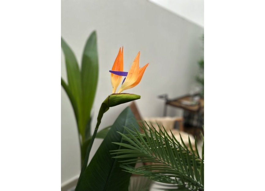 Reventa - Ground floor apartment - Estepona - Estepona Centro