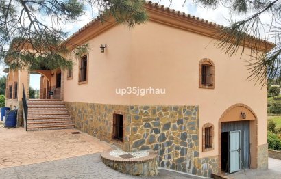 Resale - House - Detached Villa - Estepona - Estepona Centro