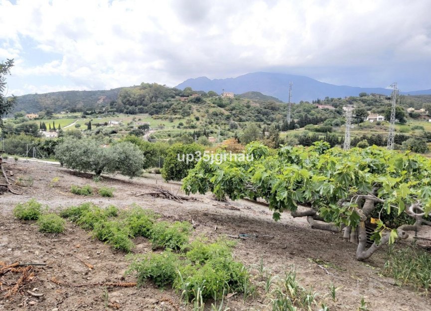 Resale - House - Detached Villa - Estepona - Estepona Centro