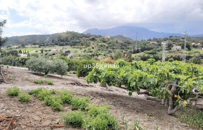 Resale - House - Detached Villa - Estepona - Estepona Centro