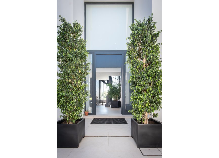 Resale - House - Detached Villa - Estepona - Estepona Centro