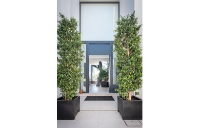 Resale - House - Detached Villa - Estepona - Estepona Centro