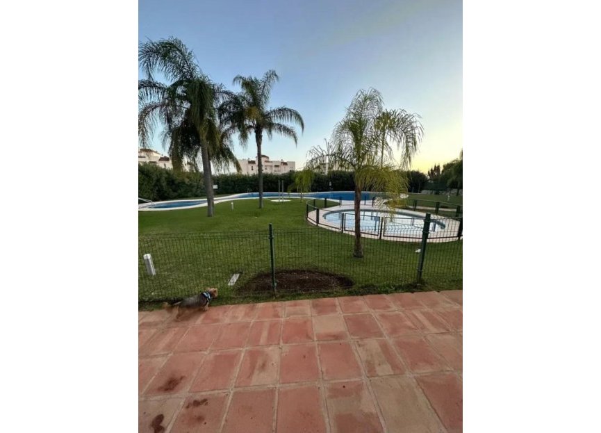 Resale - Ground floor apartment - Marbella - Nueva Andalucia