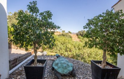 Resale - House - Detached Villa - Marbella - La Mairena