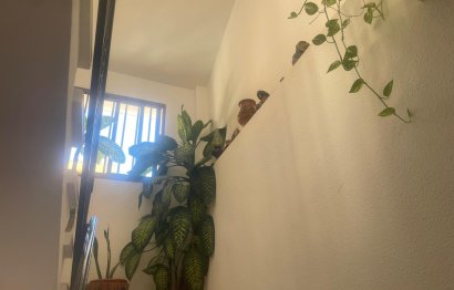 Resale - Apartment - Middle Floor Apartment - Benalmádena - Arroyo de la Miel