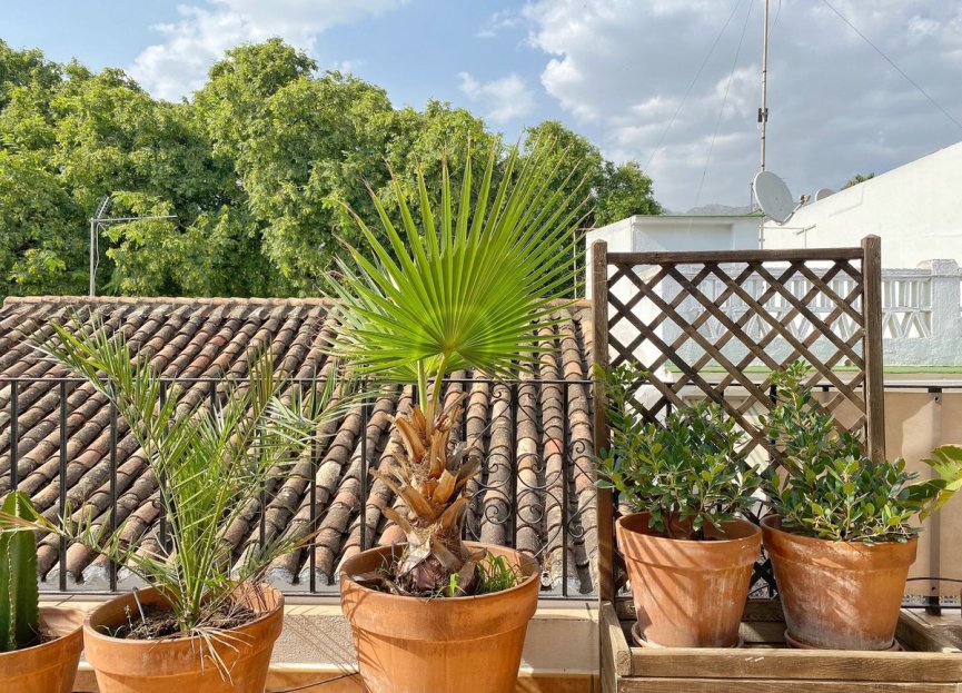 Resale - Apartment - Top Floor Apartment - Marbella - Marbella Centro