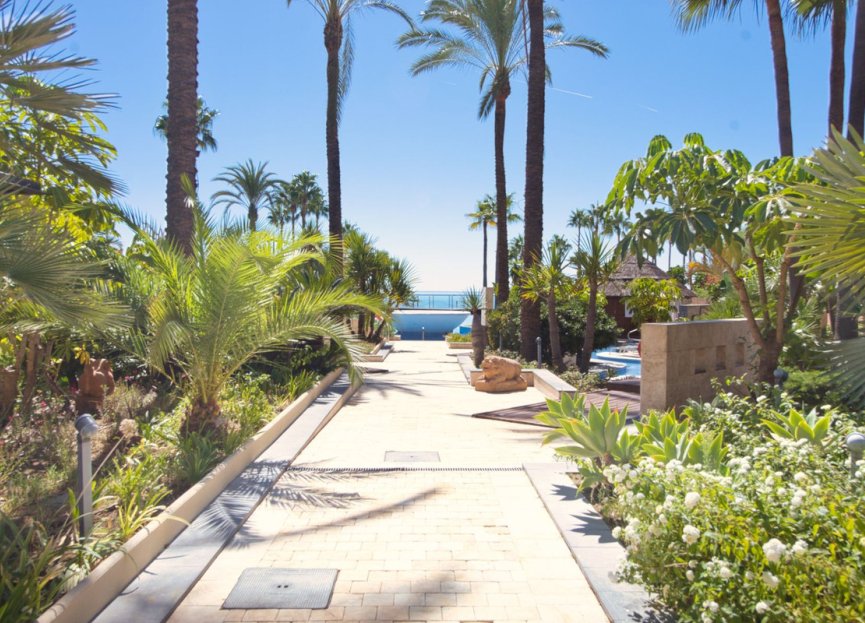 Resale - Apartment - Middle Floor Apartment - Estepona - Estepona Centro