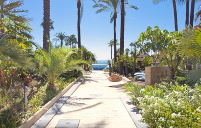 Resale - Apartment - Middle Floor Apartment - Estepona - Estepona Centro