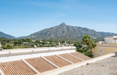 Resale - Ground floor apartment - Marbella - Nueva Andalucia