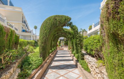 Resale - Ground floor apartment - Marbella - Nueva Andalucia