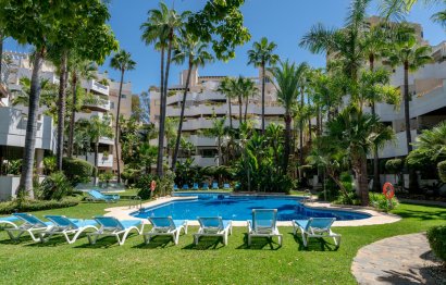 Resale - Apartment - Penthouse - Marbella - Nueva Andalucia