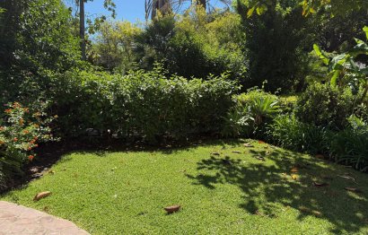 Resale - Ground floor apartment - Estepona - Estepona Centro