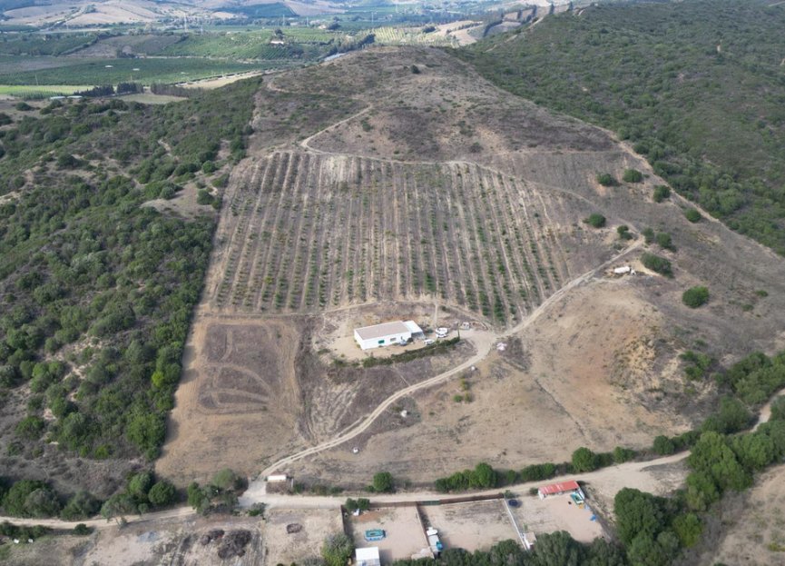 Resale - Plot - Land - Manilva - Manilva Centro