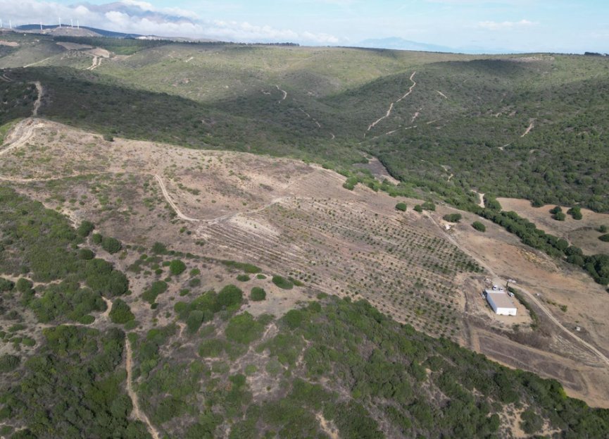 Resale - Plot - Land - Manilva - Manilva Centro