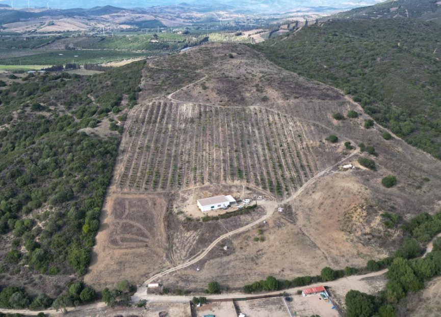 Resale - Plot - Land - Manilva - Manilva Centro