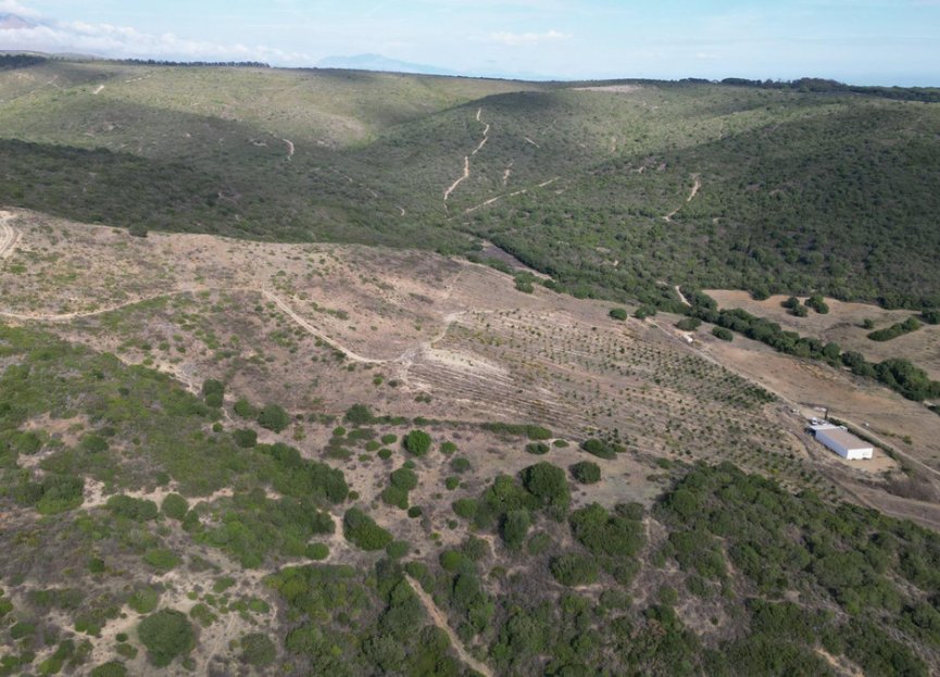 Resale - Plot - Land - Manilva - Manilva Centro