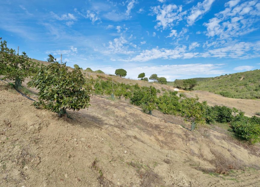 Resale - Plot - Land - Manilva - Manilva Centro