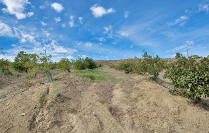 Resale - Plot - Land - Manilva - Manilva Centro