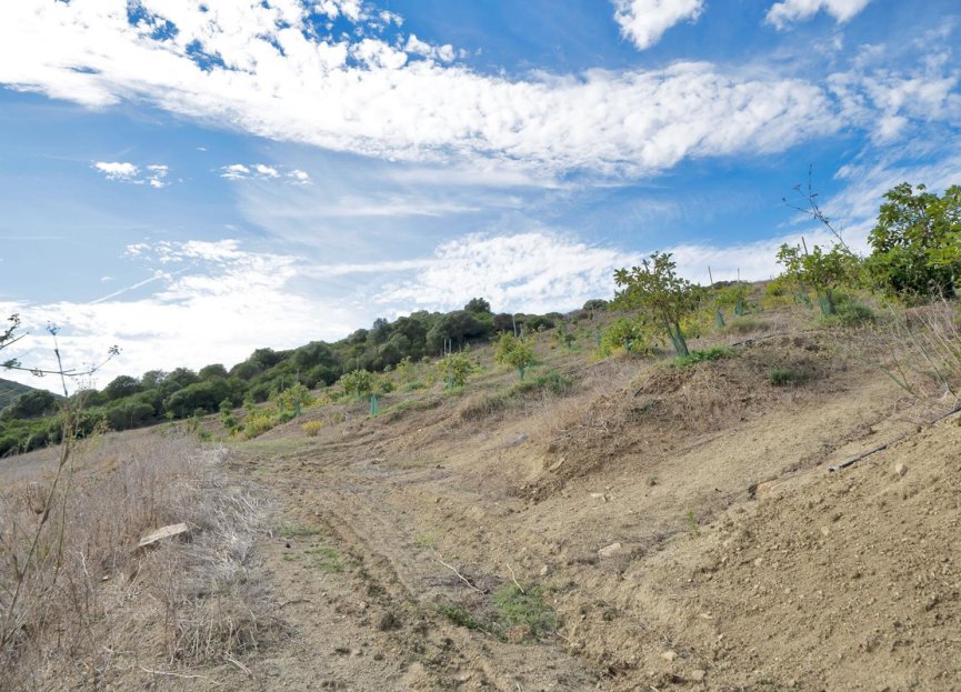 Resale - Plot - Land - Manilva - Manilva Centro