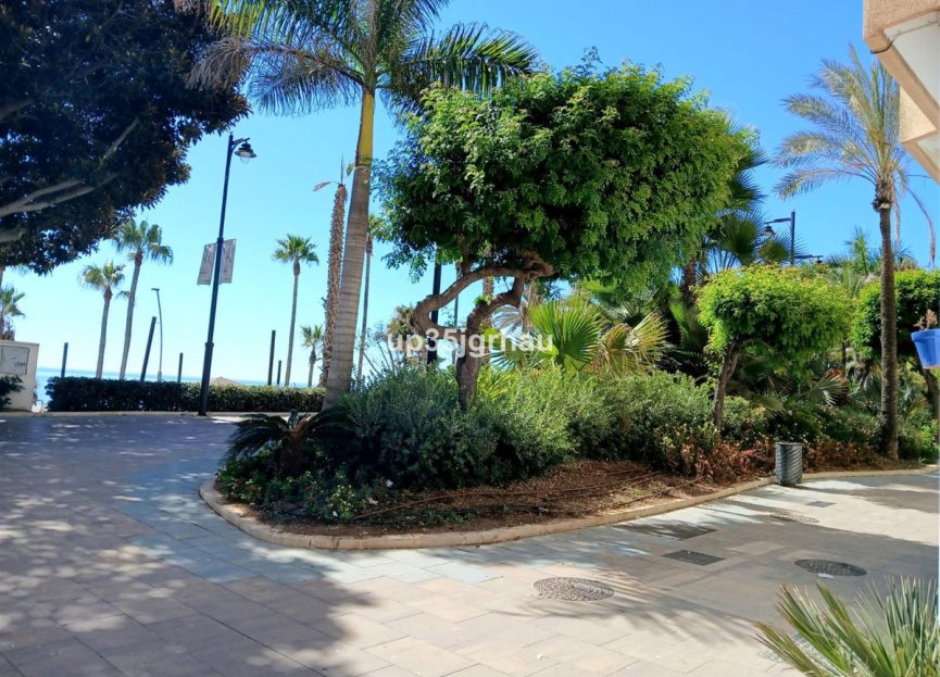 Resale - House - Detached Villa - Estepona - Estepona Centro