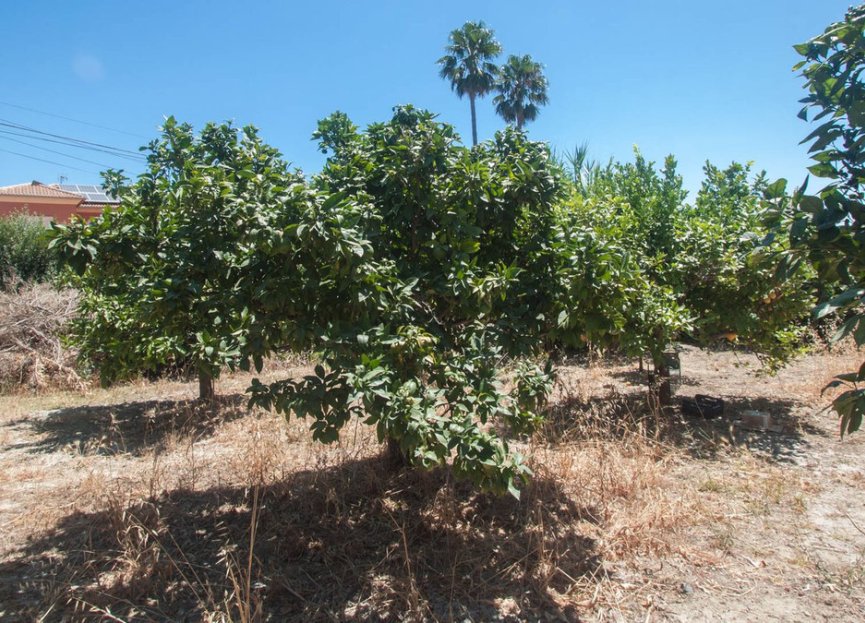 Resale - House - Detached Villa - Estepona - Estepona Centro