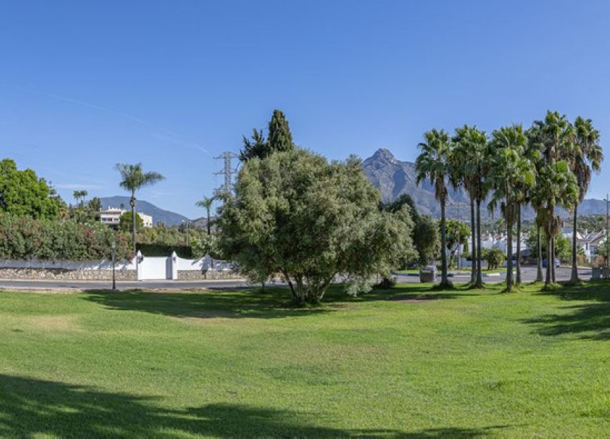 Resale - House - Semi-Detached House - Marbella - Nueva Andalucia