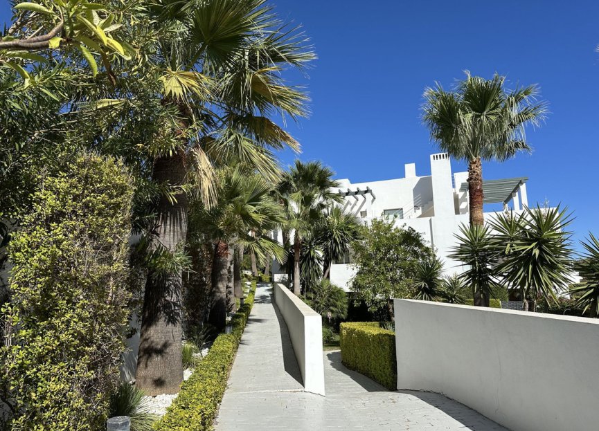 Resale - Apartment - Middle Floor Apartment - Casares - Casares Centro