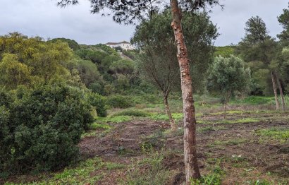 Reventa - Plot - Residential Plot - Sotogrande