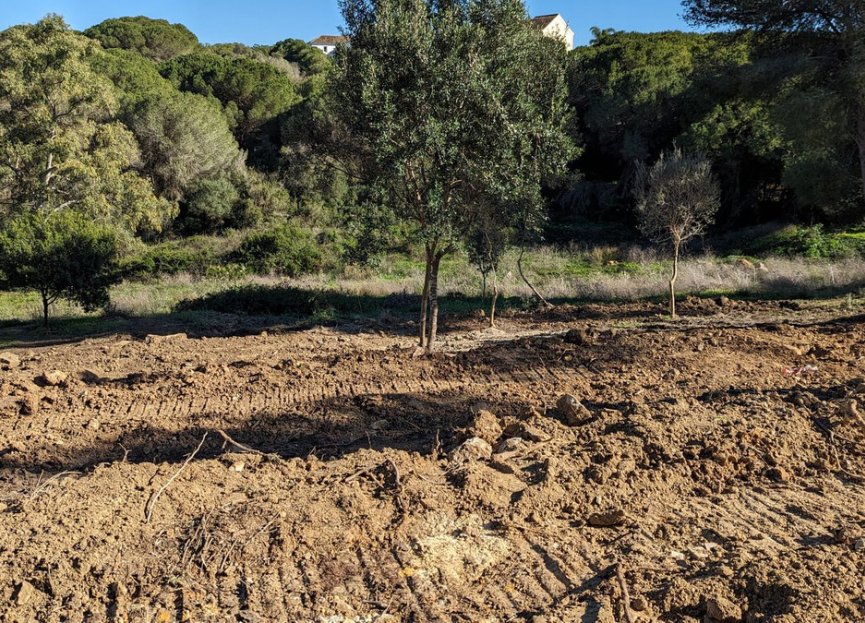 Reventa - Plot - Residential Plot - Sotogrande