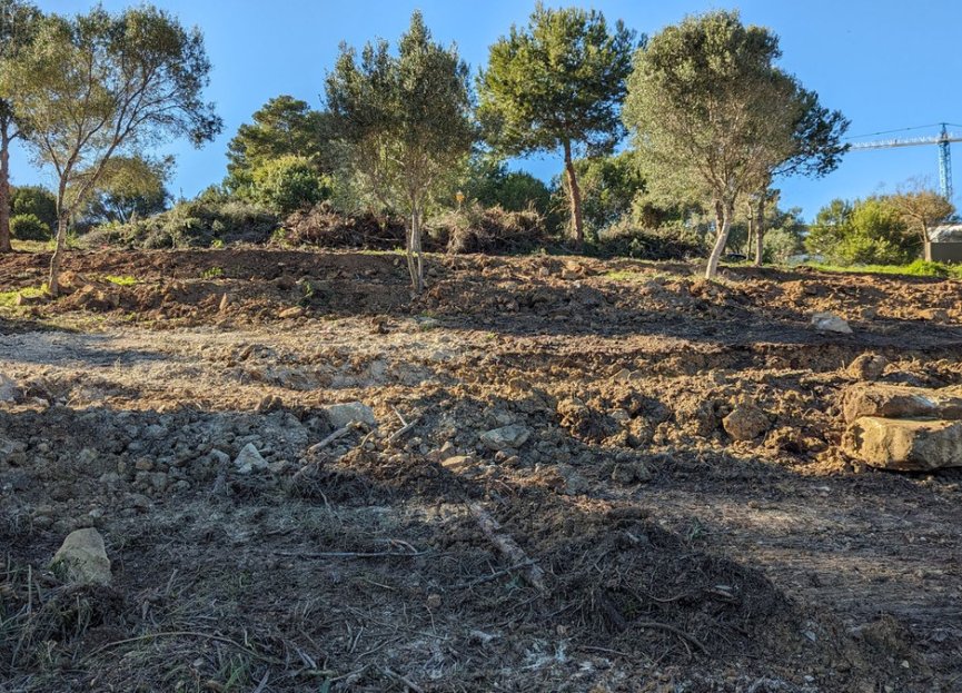 Reventa - Plot - Residential Plot - Sotogrande