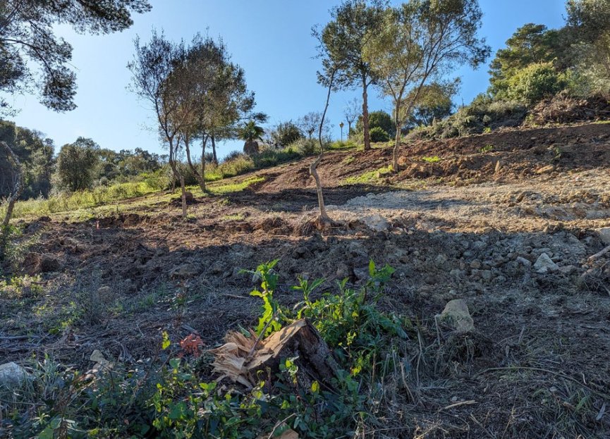 Reventa - Plot - Residential Plot - Sotogrande