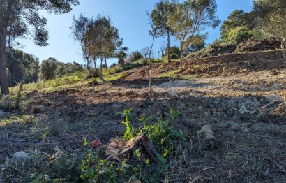 Reventa - Plot - Residential Plot - Sotogrande