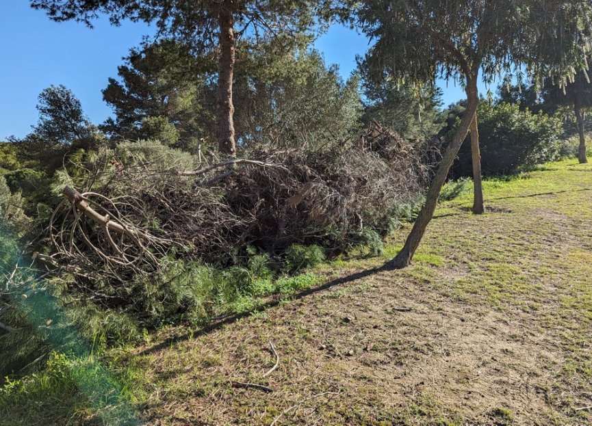 Reventa - Plot - Residential Plot - Sotogrande