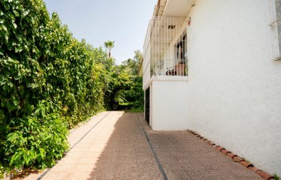 Resale - House - Detached Villa - Marbella - San Pedro De Alcantara