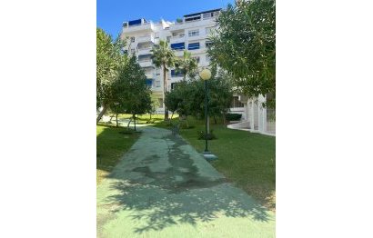 Resale - Apartment - Middle Floor Apartment - Marbella - Nueva Andalucia