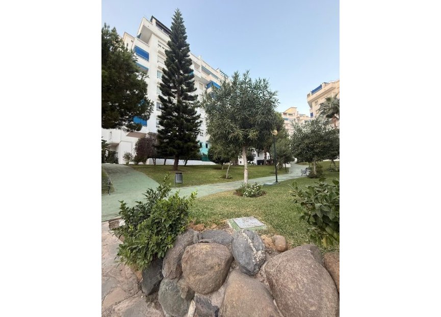 Resale - Apartment - Middle Floor Apartment - Marbella - Nueva Andalucia