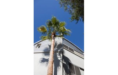 Reventa - House - Semi-Detached House - Fuengirola - Fuengirola Centro