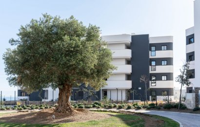 Resale - Apartment - Middle Floor Apartment - Fuengirola - Fuengirola Centro