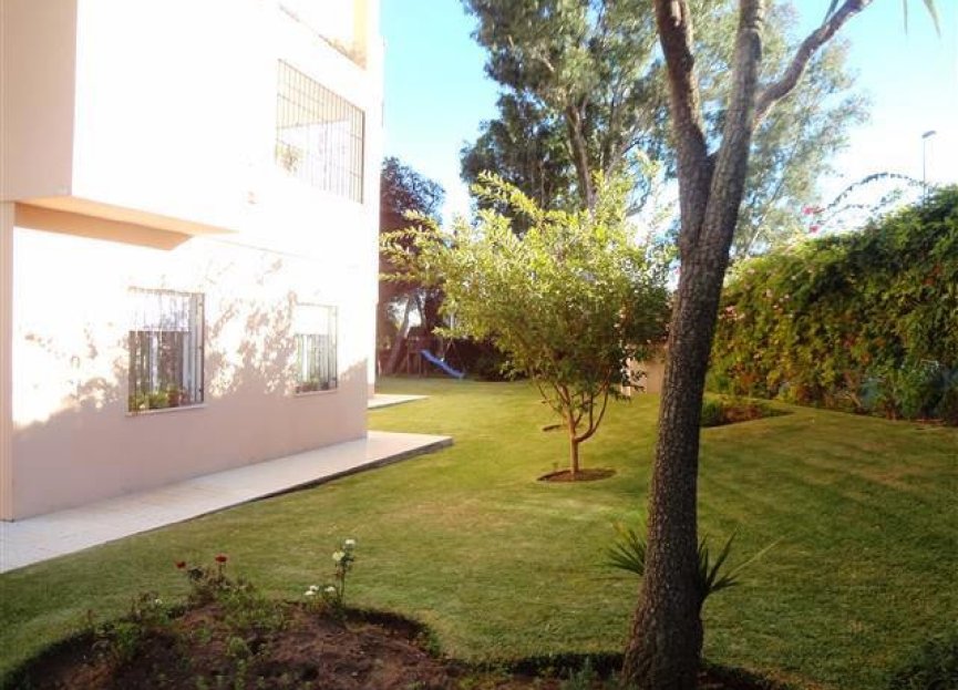 Resale - Apartment - Middle Floor Apartment - Marbella - Nueva Andalucia