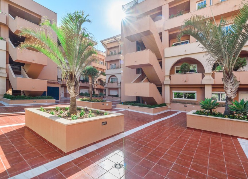Resale - Apartment - Middle Floor Apartment - Marbella - Nueva Andalucia