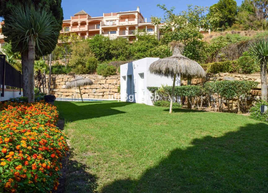 Reventa - Apartment - Top Floor Apartment - Benalmádena - Torrequebrada