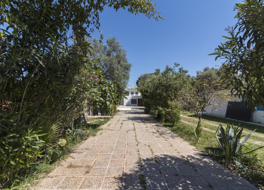 Resale - House - Detached Villa - Marbella - Marbella Centro