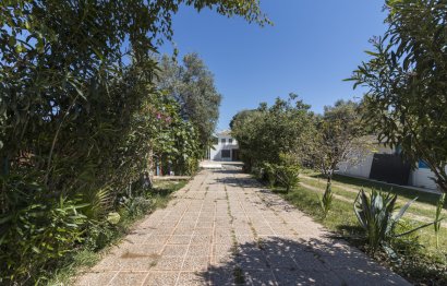 Resale - House - Detached Villa - Marbella - Marbella Centro