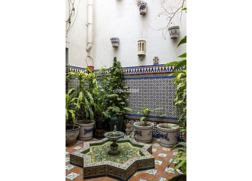 New Build - House - Detached Villa - Marbella - San Pedro De Alcantara